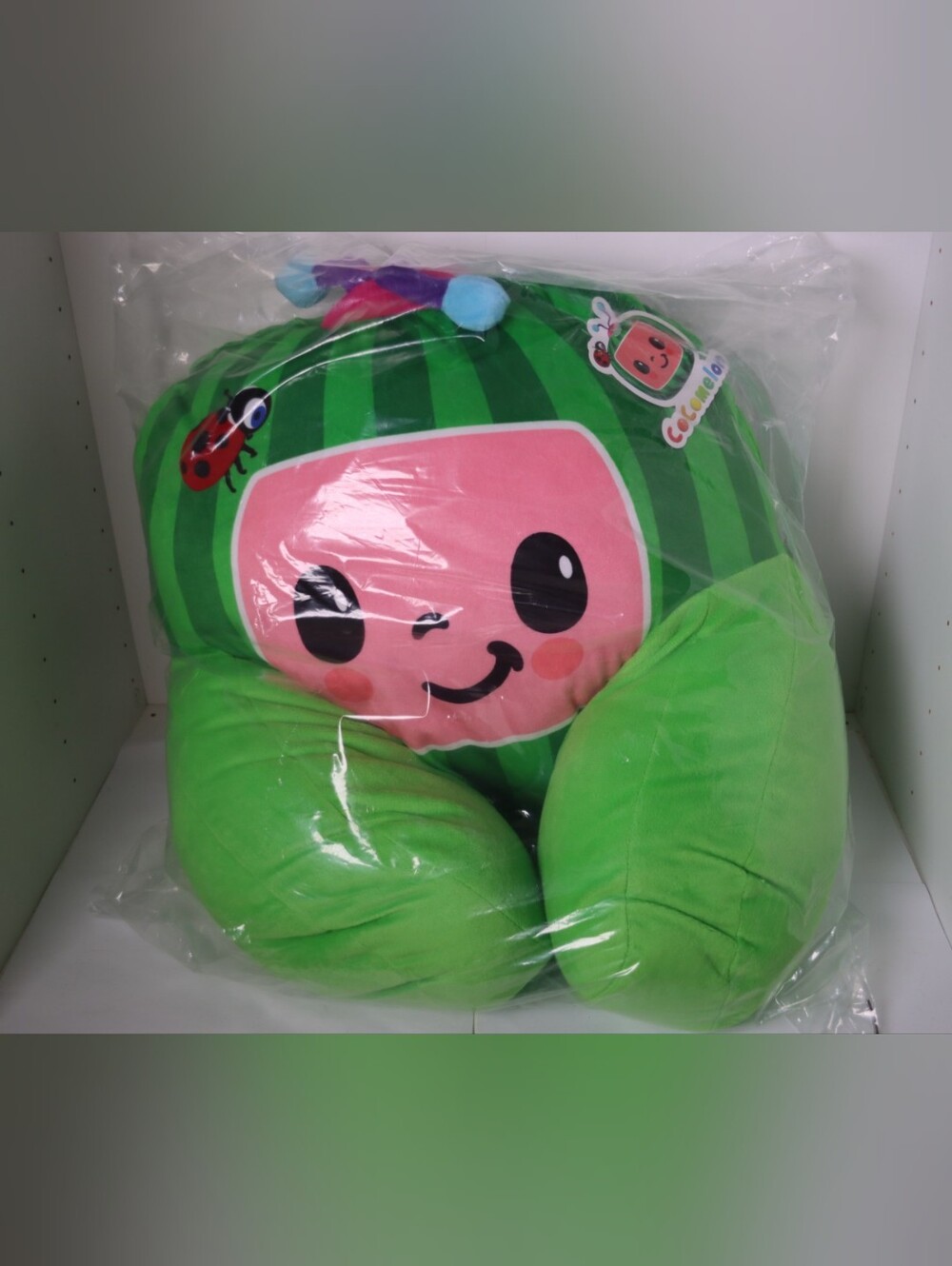 Cocomelon Green Watermelon 17"×17"